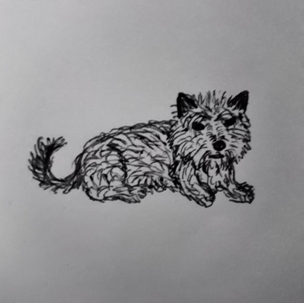 Meet your Posher, Sophrona